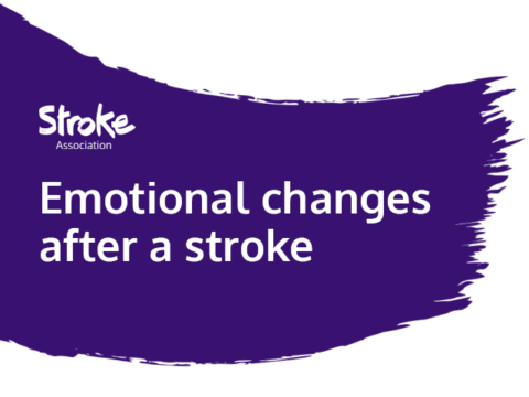 how to change stroke color in after effects