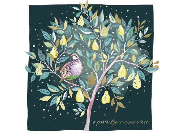 Watercolour art design of a partridge in a pear tree.