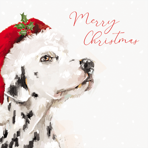 Illustration of a rather charming dalmatian in a santa hat. Text reads "Merry Christmas"