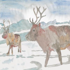 Illustration of two reindeer walking in a snowy landscape