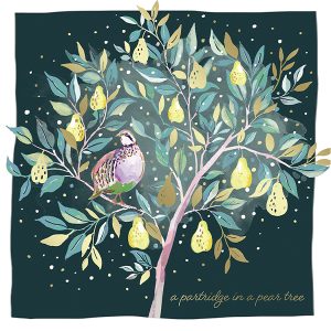 Illustrated partridge in a pear tree