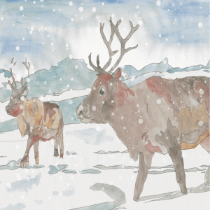 Illustration of two reindeer walking in the snow. Animated snow falls in the foreground.