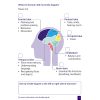 Personal stroke record diagram