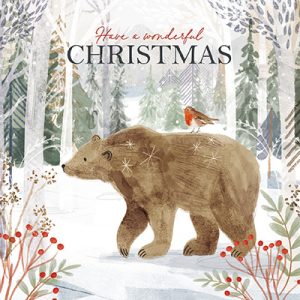 Bear And Robin Christmas card pack