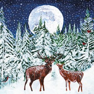 Moonlight Moment Christmas card pack